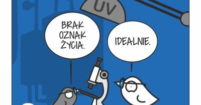 Pierwszy Lokalny Raport Wpływu Browaru Kasztelan